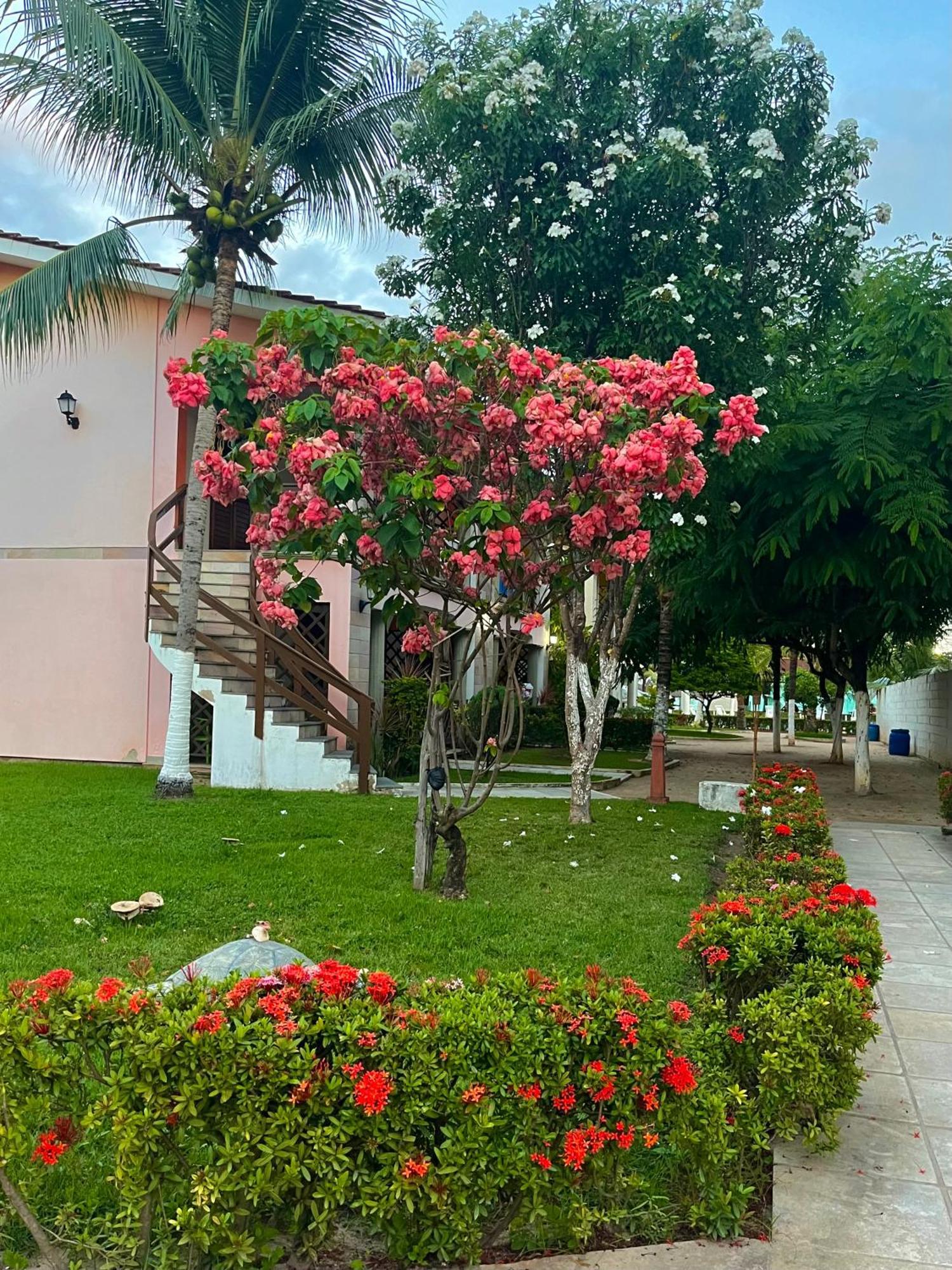 Starlounge Villa Maragogi Exterior photo